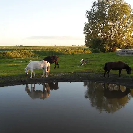 Horse Ranch Feriehus *