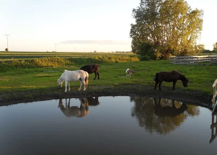 Horse Ranch Hébergement de vacances *